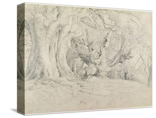 Stretched Canvas Print, , large