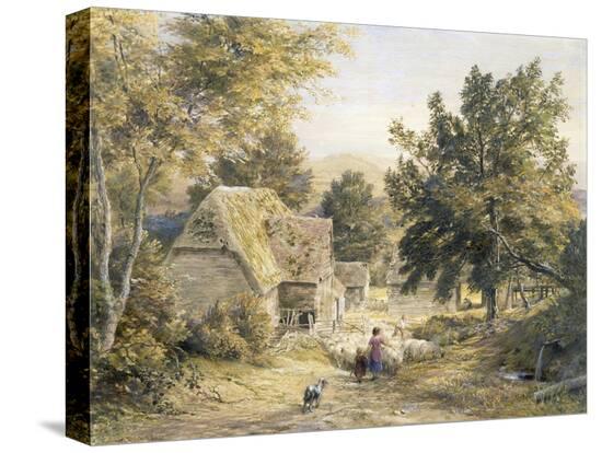 Stretched Canvas Print, , large