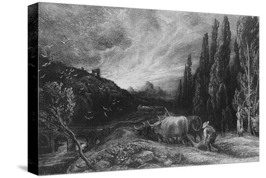 Stretched Canvas Print, , large