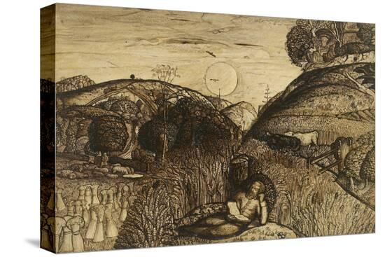Stretched Canvas Print, , large