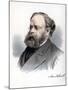 Samuel Plimsoll, British Politician and Social Reformer, C1890-Petter & Galpin Cassell-Mounted Giclee Print