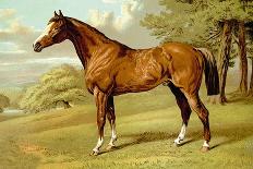 Dongola Horse-Samuel Sidney-Art Print