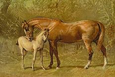 Thoroughbred Mare and Foal-Samuel Sidney-Art Print