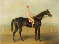 Voltigeur, with Job Marson Up-Samuel Spode-Stretched Canvas