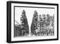 Black Frame
