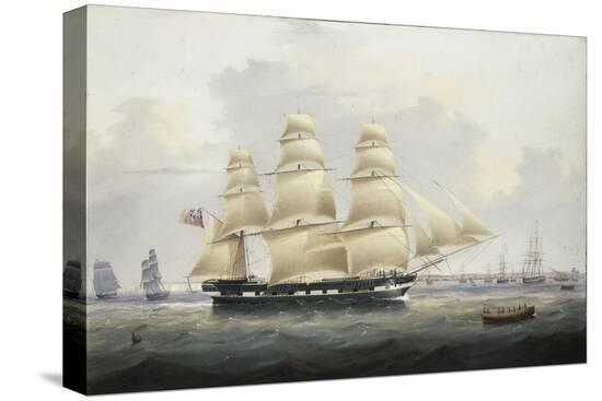 Stretched Canvas Print, , large