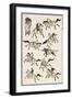 Samurai, 1817-Katsushika Hokusai-Framed Premium Giclee Print