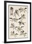 Samurai, 1817-Katsushika Hokusai-Framed Giclee Print