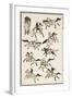 Samurai, 1817-Katsushika Hokusai-Framed Premium Giclee Print