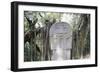 San Agustin Archaeological Park, UNESCO World Heritage Site, Colombia, South America-Peter Groenendijk-Framed Premium Photographic Print