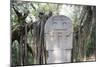 San Agustin Archaeological Park, UNESCO World Heritage Site, Colombia, South America-Peter Groenendijk-Mounted Premium Photographic Print