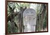 San Agustin Archaeological Park, UNESCO World Heritage Site, Colombia, South America-Peter Groenendijk-Framed Photographic Print