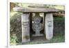 San Agustin Archaeological Park, UNESCO World Heritage Site, Colombia, South America-Peter Groenendijk-Framed Photographic Print