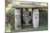 San Agustin Archaeological Park, UNESCO World Heritage Site, Colombia, South America-Peter Groenendijk-Mounted Photographic Print
