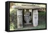 San Agustin Archaeological Park, UNESCO World Heritage Site, Colombia, South America-Peter Groenendijk-Framed Stretched Canvas