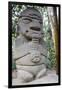 San Agustin Archaeological Park, UNESCO World Heritage Site, Colombia, South America-Peter Groenendijk-Framed Photographic Print