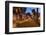 San Andres, Palms, Island La Palma, Canary Islands, Spain-Rainer Mirau-Framed Photographic Print