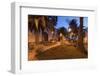 San Andres, Palms, Island La Palma, Canary Islands, Spain-Rainer Mirau-Framed Photographic Print