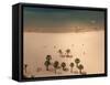 San Andres, Tenerife, Canary Islands, Spain, Atlantic, Europe-Hans Peter Merten-Framed Stretched Canvas