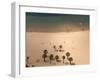 San Andres, Tenerife, Canary Islands, Spain, Atlantic, Europe-Hans Peter Merten-Framed Photographic Print