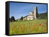 San Antimo Church, Tuscany, Italy-Doug Pearson-Framed Stretched Canvas