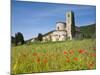 San Antimo Church, Tuscany, Italy-Doug Pearson-Mounted Photographic Print