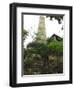 San Antonio Blue Argillaceous Limestone-Audrey-Framed Giclee Print