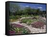 San Antonio Botanical Gardens, Texas, USA-null-Framed Stretched Canvas