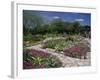 San Antonio Botanical Gardens, Texas, USA-null-Framed Photographic Print