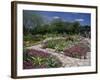San Antonio Botanical Gardens, Texas, USA-null-Framed Photographic Print