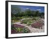 San Antonio Botanical Gardens, Texas, USA-null-Framed Photographic Print