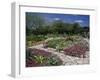 San Antonio Botanical Gardens, Texas, USA-null-Framed Photographic Print