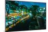 San Antonio River Walk at night, River San Antonio, San Antonio, Texas, USA-null-Mounted Photographic Print