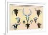 San Antonio, Texas - Buckhorn Curio Museum, Freak Cattle Horns, Double-Headed Calf, c.1937-Lantern Press-Framed Premium Giclee Print