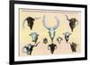 San Antonio, Texas - Buckhorn Curio Museum, Freak Cattle Horns, Double-Headed Calf, c.1937-Lantern Press-Framed Premium Giclee Print