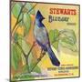 San Bernardino, California, Stewarts Bluejay Brand Citrus Label-Lantern Press-Mounted Art Print