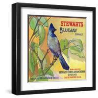 San Bernardino, California, Stewarts Bluejay Brand Citrus Label-Lantern Press-Framed Art Print