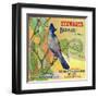 San Bernardino, California, Stewarts Bluejay Brand Citrus Label-Lantern Press-Framed Art Print