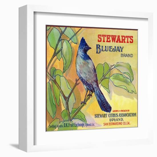 San Bernardino, California, Stewarts Bluejay Brand Citrus Label-Lantern Press-Framed Art Print
