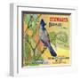 San Bernardino, California, Stewarts Bluejay Brand Citrus Label-Lantern Press-Framed Art Print