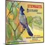 San Bernardino, California, Stewarts Bluejay Brand Citrus Label-Lantern Press-Mounted Art Print