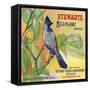 San Bernardino, California, Stewarts Bluejay Brand Citrus Label-Lantern Press-Framed Stretched Canvas
