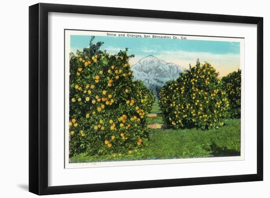 San Bernardino County, California - View of Snow-Capped Mountains and Orange Trees, c.1921-Lantern Press-Framed Art Print