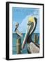 San Clemente, California - Brown Pelican-Lantern Press-Framed Art Print