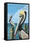 San Clemente, California - Brown Pelican-Lantern Press-Framed Stretched Canvas