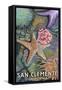 San Clemente, California - Tidepool-Lantern Press-Framed Stretched Canvas