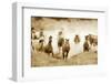 San Cristobol Horses-Lisa Dearing-Framed Photographic Print