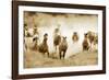 San Cristobol Horses-Lisa Dearing-Framed Photographic Print