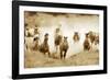 San Cristobol Horses-Lisa Dearing-Framed Photographic Print