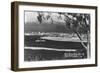 San Diego, CA Bay and City from Point Loma Photograph - San Diego, CA-Lantern Press-Framed Art Print